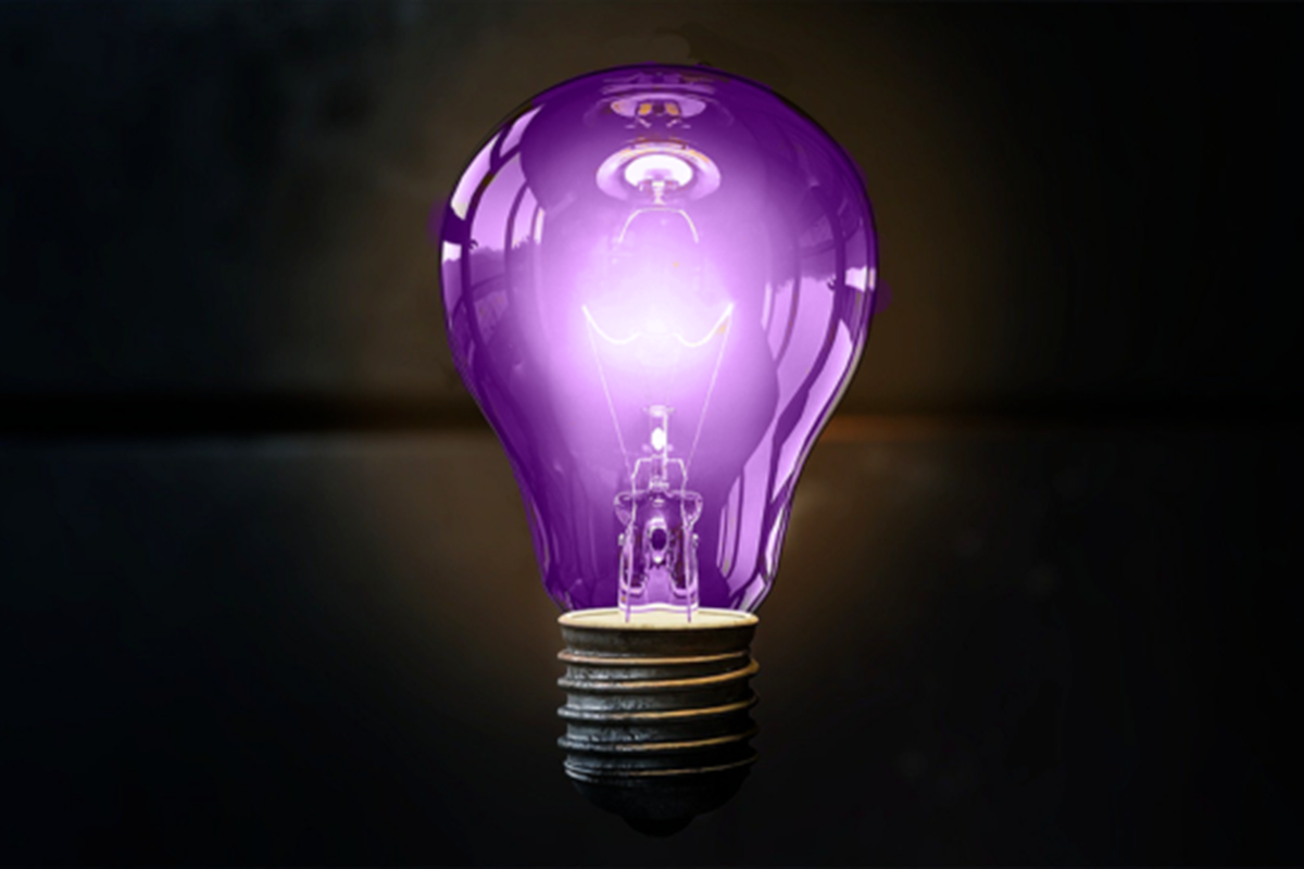 Indispensable Emarking Lightbulb (1)